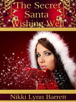 book cover for The Secret Santa Wishing Well
