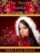 book cover for The Secret Santa Wishing Well