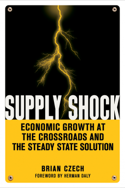 book cover for Supply Shock
