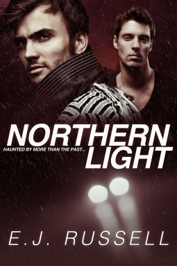 book cover for Northern Light