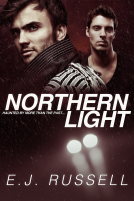 book cover for Northern Light
