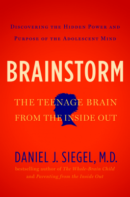 book cover for Brainstorm