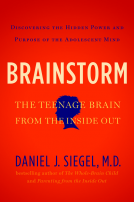 book cover for Brainstorm