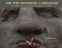 Cover Image: On the National Language