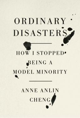 book cover for Ordinary Disasters