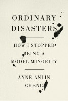 book cover for Ordinary Disasters