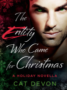 book cover for The Entity Who Came for Christmas
