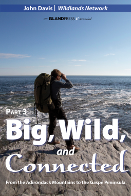 book cover for Big, Wild, and Connected