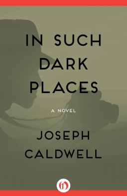 book cover for In Such Dark Places
