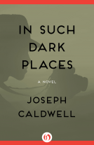 book cover for In Such Dark Places