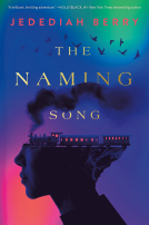book cover for The Naming Song