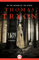 book cover for Lady