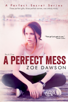 book cover for A Perfect Mess