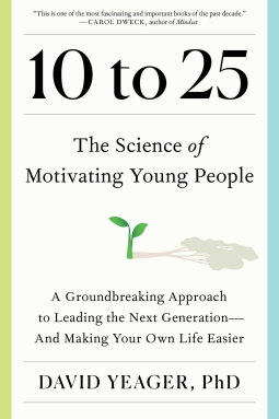 book cover for 10 to 25