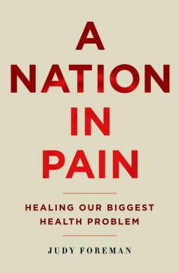 book cover for A Nation in Pain