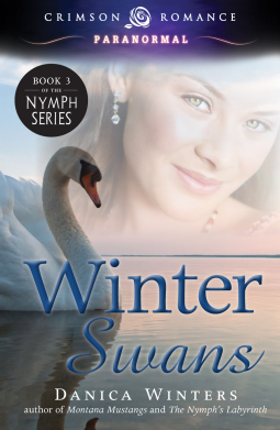 book cover for Winter Swans