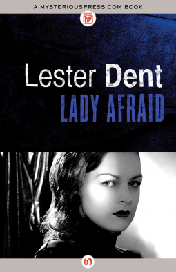 book cover for Lady Afraid