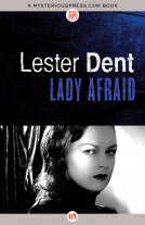 book cover for Lady Afraid