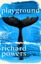 book cover for Playground