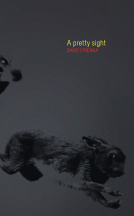 book cover for A Pretty Sight