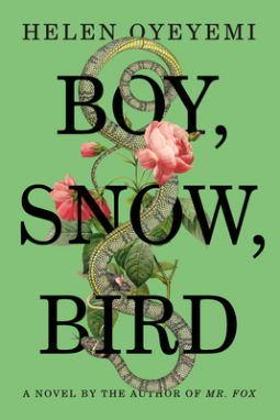 book cover for Boy, Snow, Bird