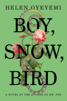 book cover for Boy, Snow, Bird