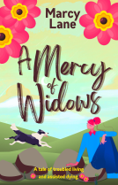 book cover for A Mercy of Widows