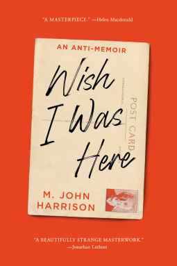 book cover for Wish I Was Here