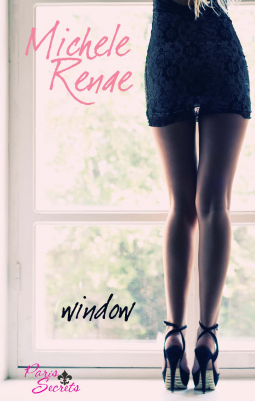 book cover for Window