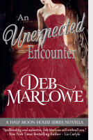 book cover for An Unexpected Encounter