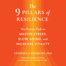 book cover for The 9 Pillars of Resilience