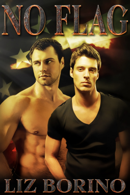 book cover for No Flag