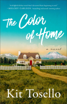 book cover for The Color of Home