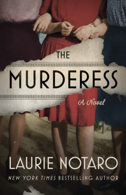 book cover for The Murderess