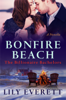 book cover for Bonfire Beach