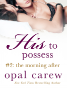 book cover for His to Possess #2: The Morning After