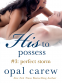 Cover Image: His to Possess #3: Perfect Storm