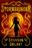 book cover for Stormbringer