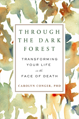 book cover for Through the Dark Forest