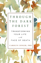 book cover for Through the Dark Forest