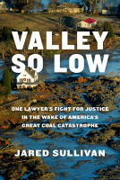 book cover for Valley So Low