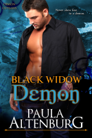 book cover for Black Widow Demon