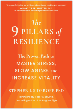 book cover for The 9 Pillars of Resilience