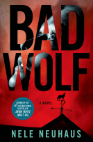 book cover for Bad Wolf
