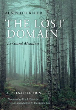 book cover for The Lost Domain