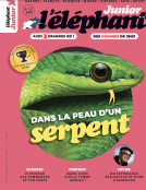 Couverture du livre pour Dans la peau d'un serpent