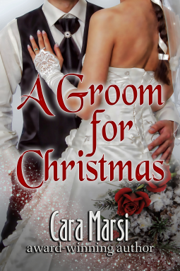 book cover for A Groom for Christmas