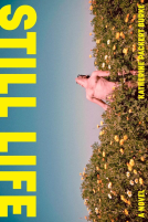 book cover for Still Life