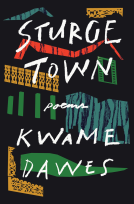 book cover for Sturge Town