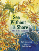 book cover for Sea Without a Shore